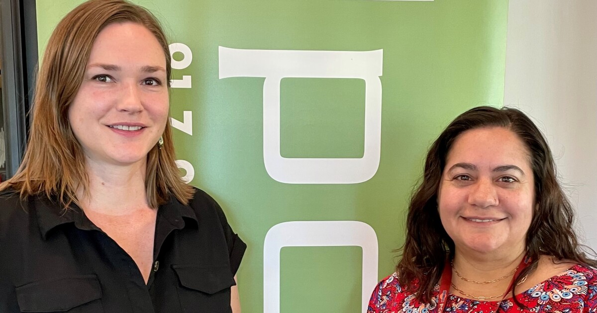 Public survey on Bonanza Park will be released August 29