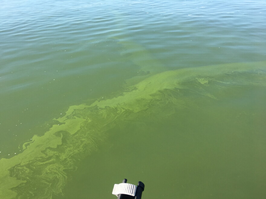 Western Lake Erie in September 2017