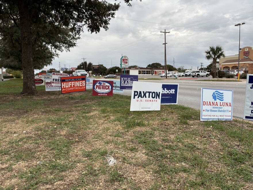 Political campaign signs line the grass by the street 