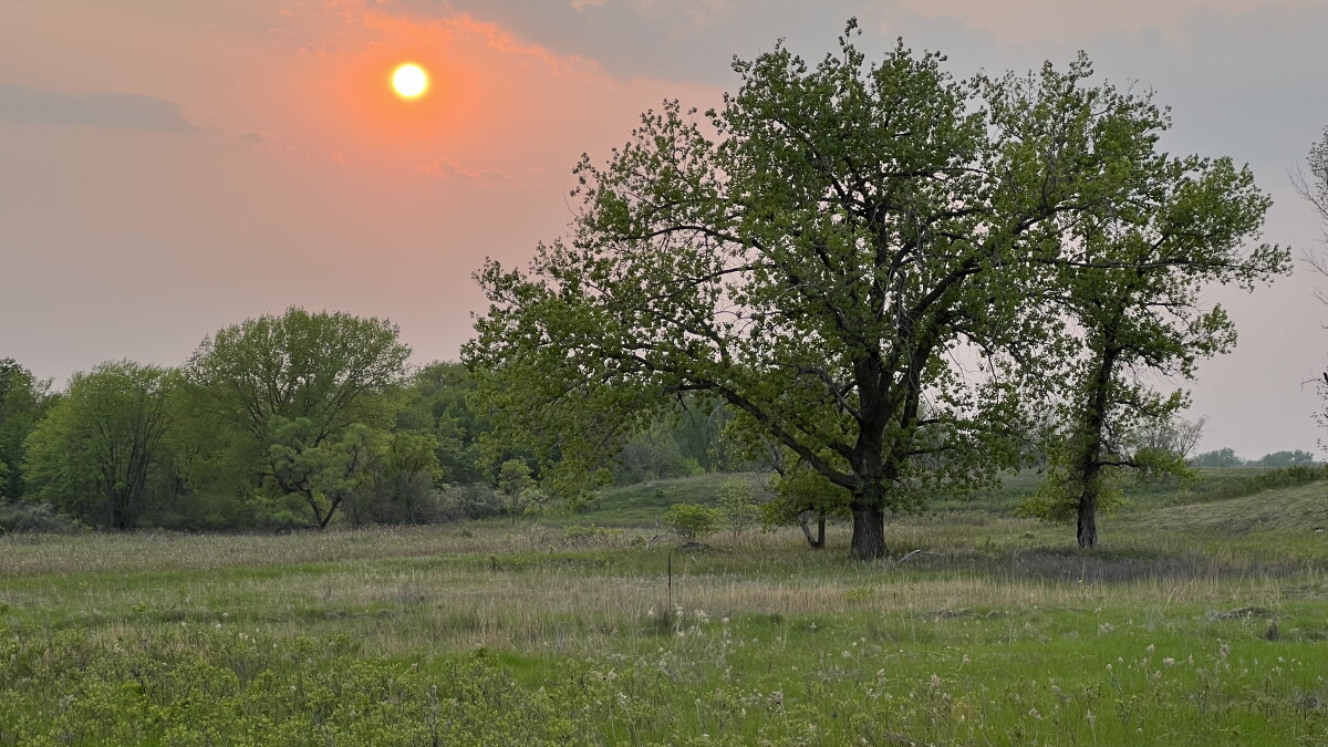 Smoke, haze to linger this week - Vimarsana News