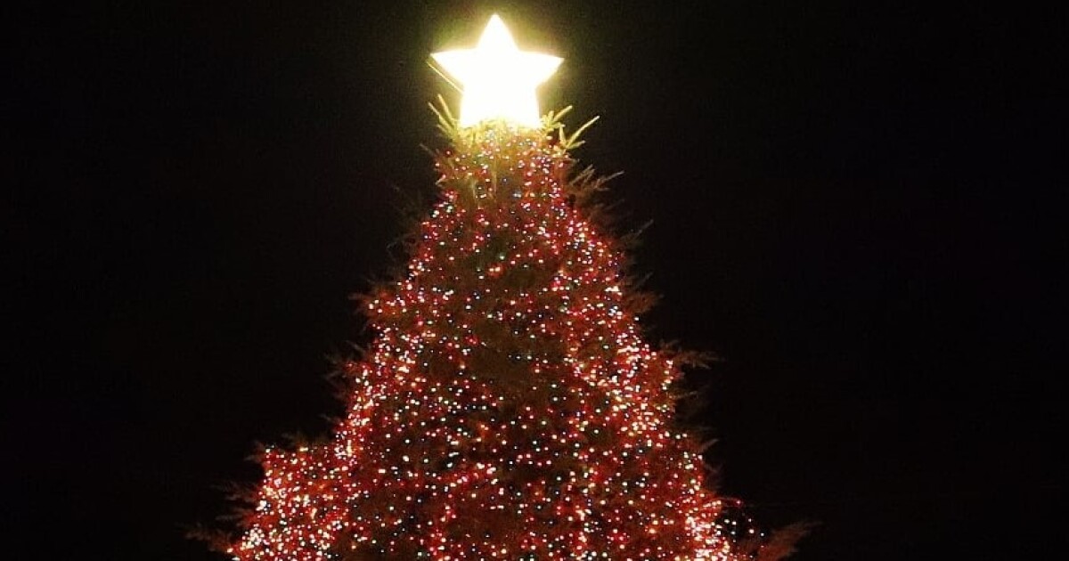 Pittsfield Christmas Tree Lighting 2022 North Adams Sets Date For Return To In-Person Holiday Tree Lighting | Wamc