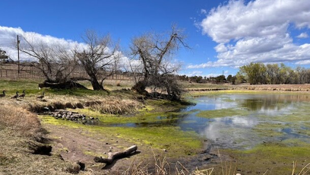 The pond on the Taylor-Oswald Ranch near Cotopaxi, Colorado, was at low levels on April 2, 2026