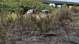 Burned brush in the foreground with tents in the background.