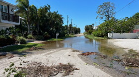 flooded street with downed tree branches