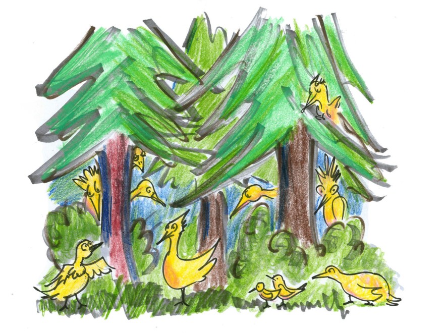 Birds in the forest.