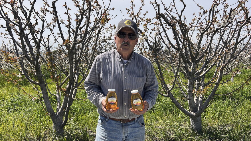 A beekeeper standing in orchard with a jar of honey in each hand.