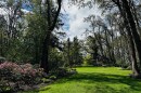 Hendricks Park is a popular place to celebrate Mothers Day in Eugene.