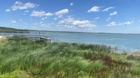 Nine artists participating in the University of Illinois Springfield’s Artist in Residence program at the Therkildsen Field Station at Emiquon will unveil works inspired by the preserve on Aug. 23.