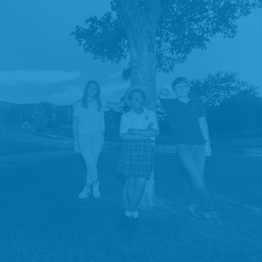 Chambliss Center for Children / Foster Care graphic