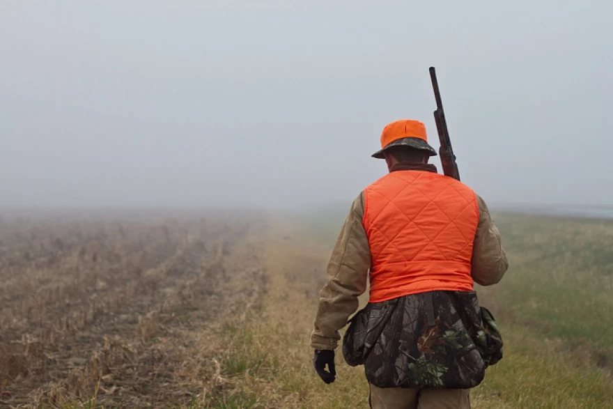 A hunter in the field