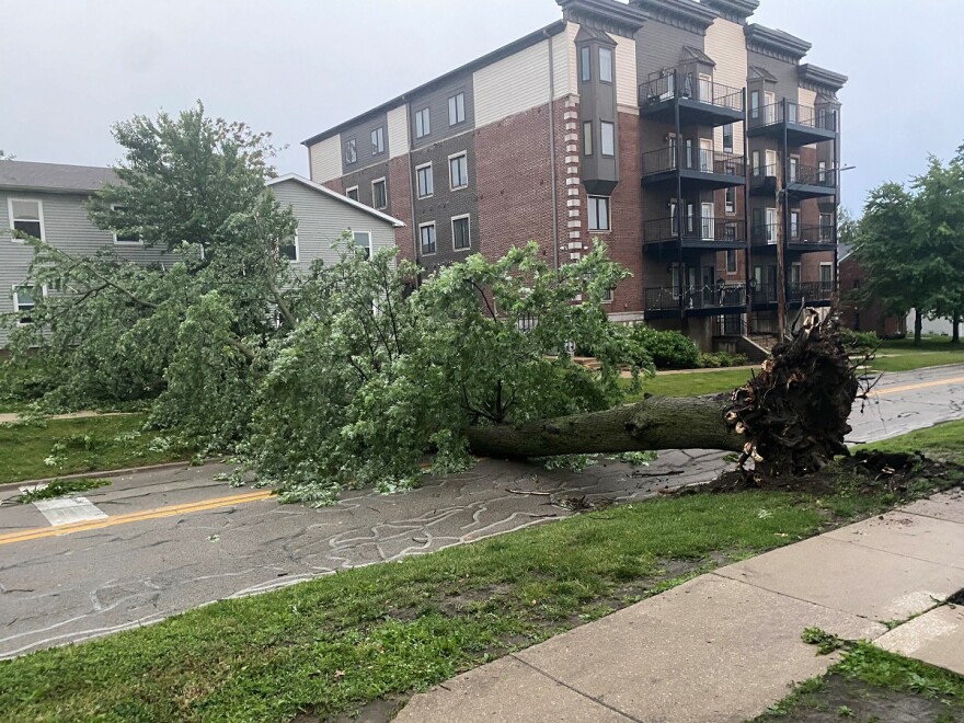 Uprooted large tree lays across a street in front of two apartment buildings.