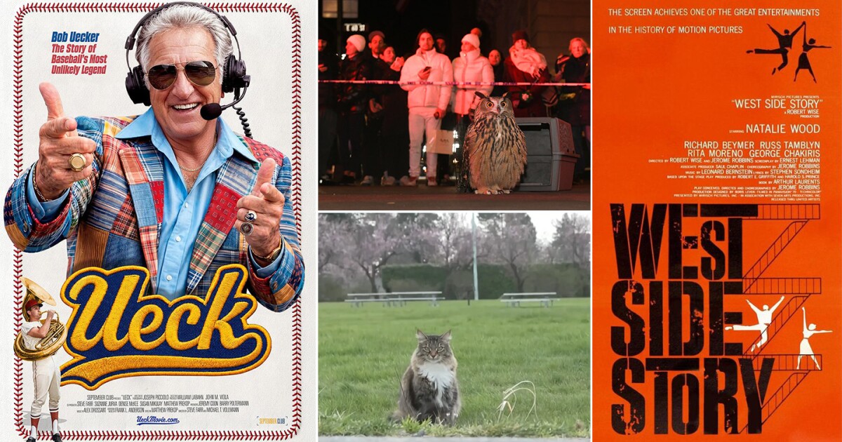 MKE Film has baseball, birds, cats and classics coming in August