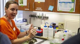 Carrie Harmon, director of University of Florida's plant lab, at work