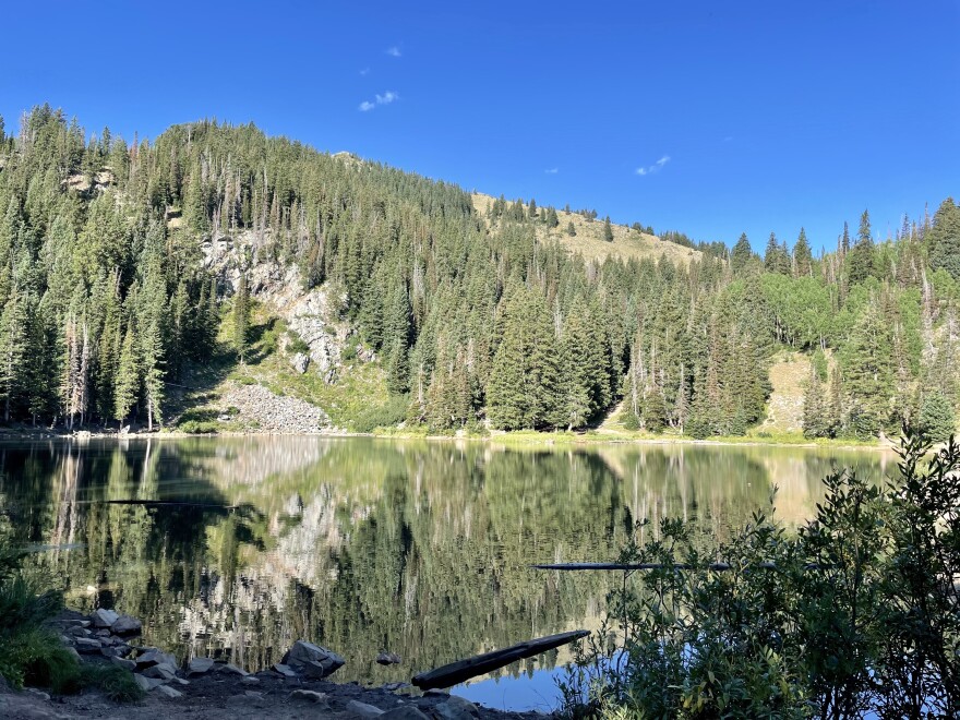 Bloods Lake.