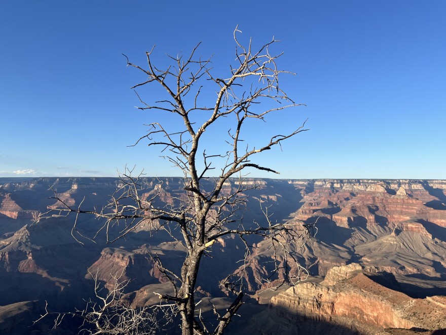 The Grand Canyon from the South Rim