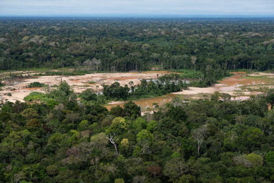 FILE - Deforestation from illegal mining surrounds the Malinowski River in the Tambopata National Reserve in Puerto Maldonado, Peru, Aug. 11, 2026.