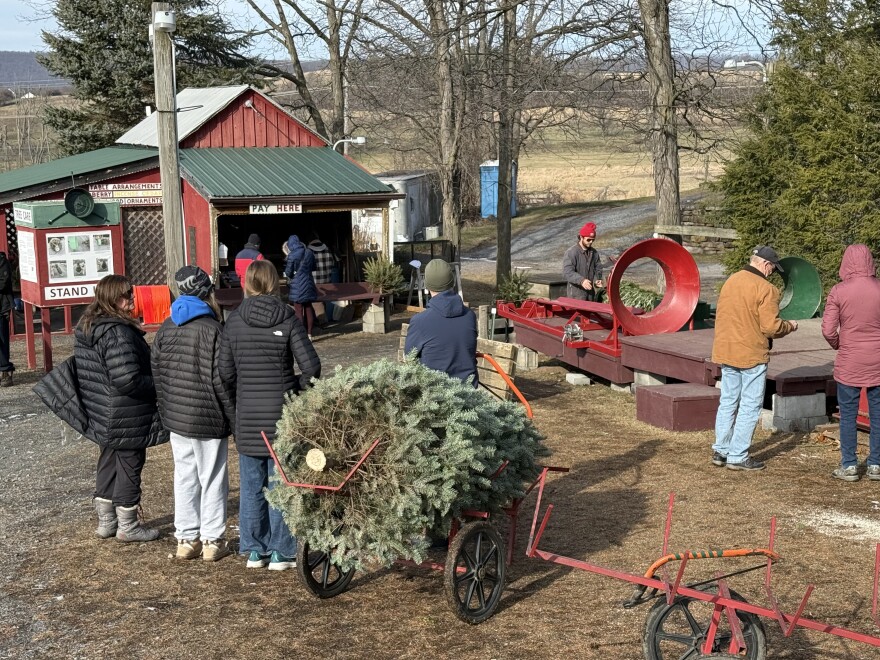 Tait Farm Christmas Trees is in Centre Hall in Centre County. 