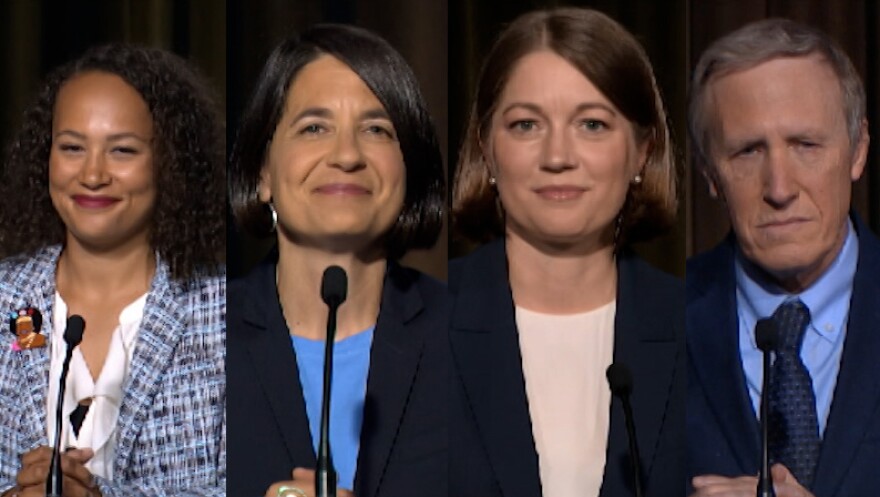 Democratic candidates for the U.S. House, from left: Sianay Chase Clifford, state Sen. Becca Balint, Lt. Gov. Molly Gray, and Dr. Louis Meyers.