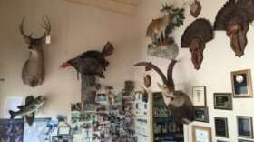 Front office at Master Taxidermy Studio.
