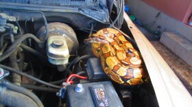 A red-tailed boa constrictor is found nestled in the engine compartment of a vehicle in this photo posted on Feb. 3, 2022 to the St. Croix Snakes’ Facebook page.