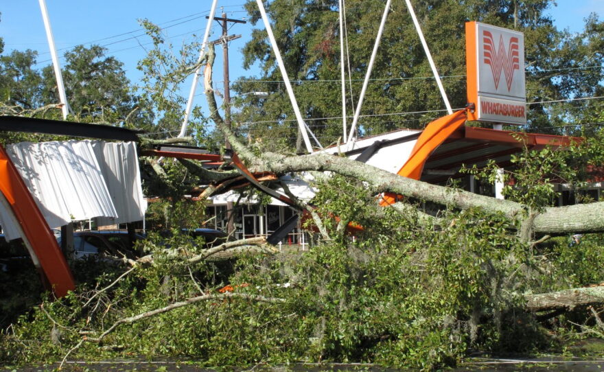 A large oak tree toppled over a Whataburger restaurant in Tallahassee, Fla., Sept. 2, 2016. Many businesses and homes in Tallahassee are without power and several roads are blocked due to tree damage caused by Hurricane Hermine. (AP Photo/Brendan Farrington)