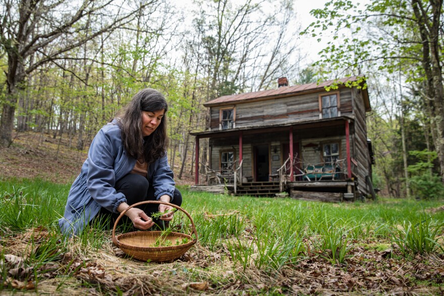 the_herbalist_the_mountain_traditions_project_michael_o_snyder__upload_quality_.jpg