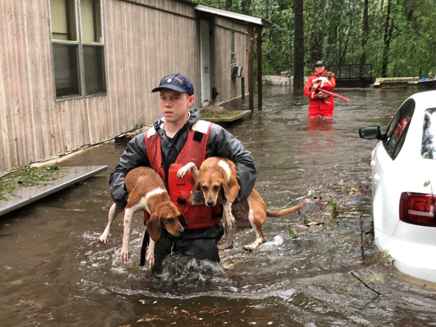 Members of Coast Guard Shallow-Water Response Boat Team 3 help pets stranded by floodwater near Riegelwood, N.C., on Sunday.