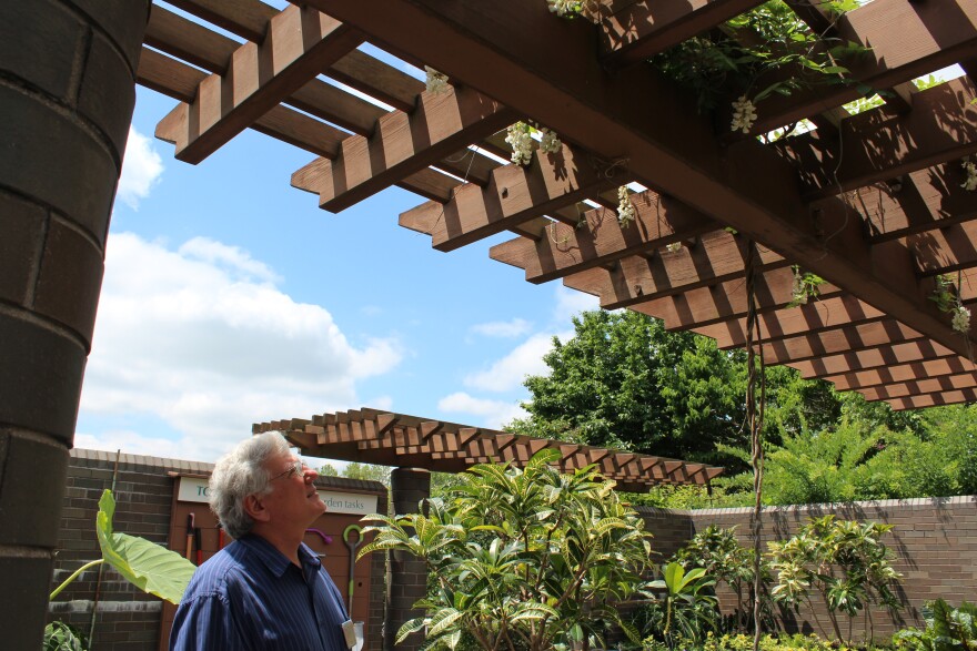 The Missouri Botanical Gardens' Glenn Kopp looks after some newly blooming wisteria.