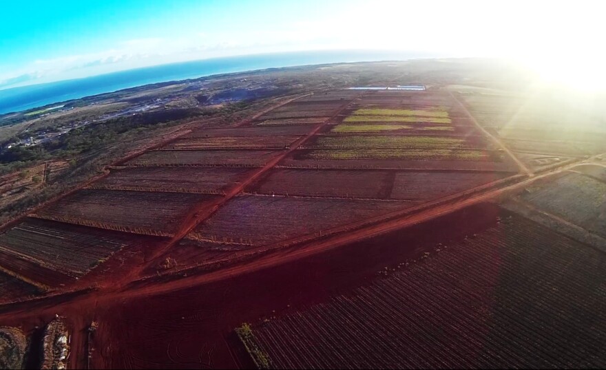 Edwin Mendija via Molokai Dispatch 