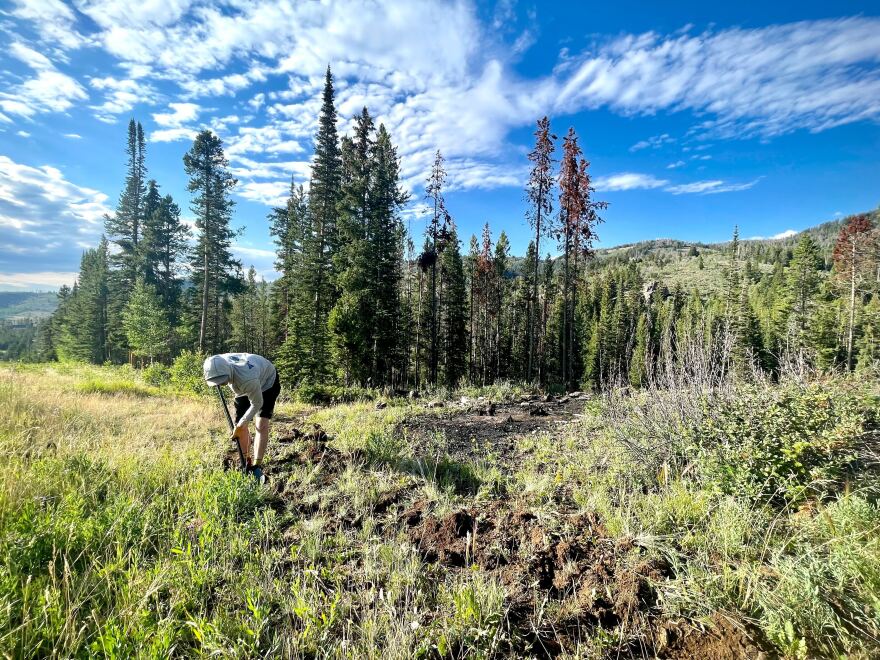 Sublette Trails Association President Ryan Grove works on updating an old trail in Sublette County. Trails group members said that developing and maintaining trails can help with creating a sense of community.