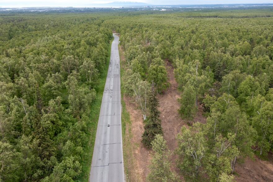 A strip of land along a road is cleared of underbrush and most trees