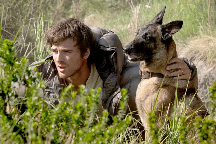 Jacob Elordi as Hig and Jasper the German Shepherd in The Dog Stars.