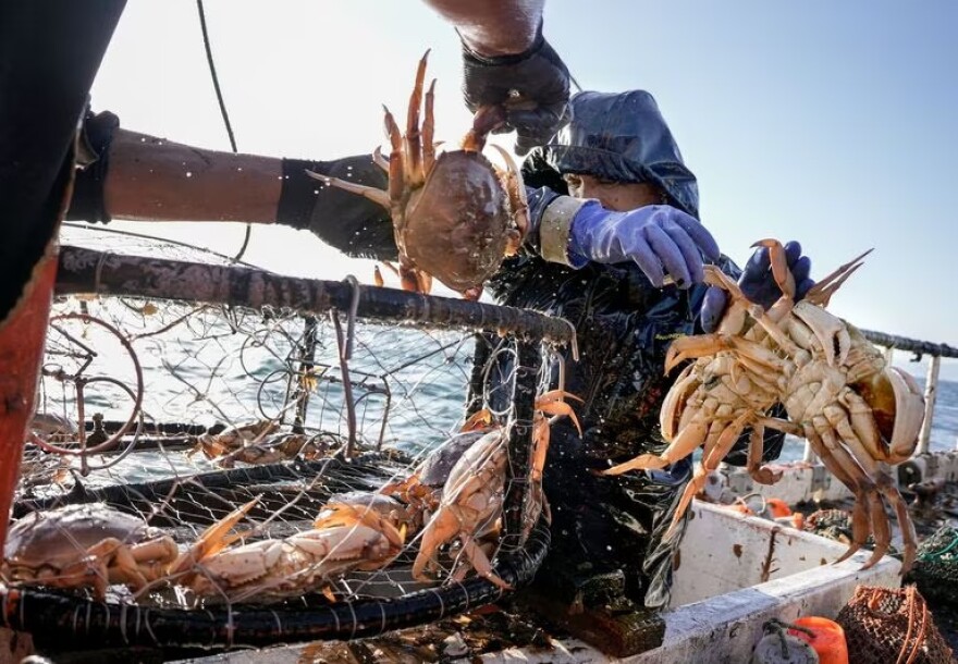 The crew aboard the FV Misty pulls up a pot of Dungeness crab off of Port Orford, Ore., May 17, 2022. The 2021-2022 season saw record high prices and a punctual start to commercial crabbing right on Dec. 1, 2021.