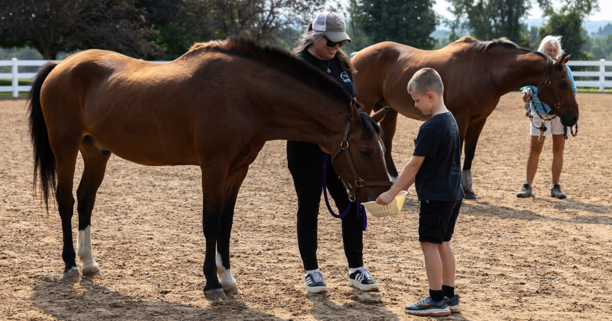 EquiCenter gets state money for accessibility and facility improvements