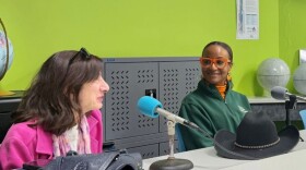 Barbara Goldstein and Tonja Ward talk about collaborative possibilities during an interview for WFSU Public Media.