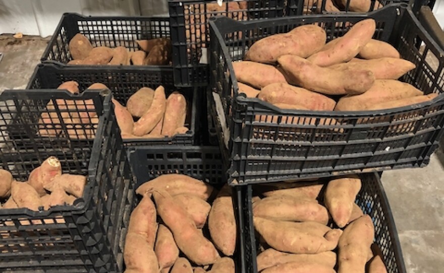 Crates of yams from the previous growing season, remain fresh for delivery inside the climate control warehouse.