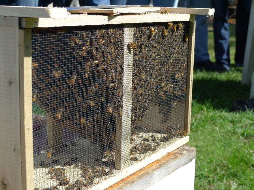 The Plymouth County Beekeepers Association distributed more than 500 crates of honeybees this spring.