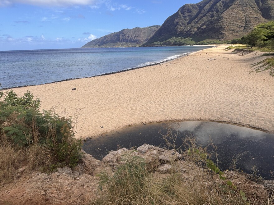 There is no safe way for kūpuna to access Mākua Beach on foot until the damaged bridges are repaired. An area to descend begins at the rocks.