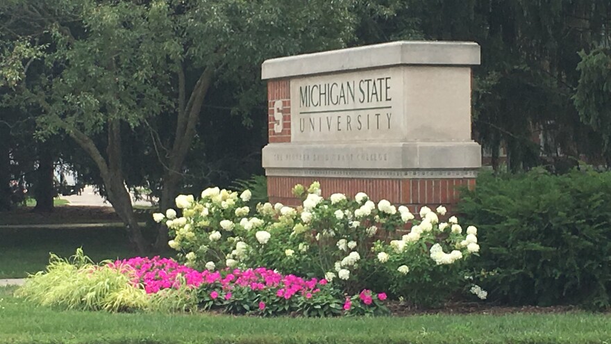 MSU Sign