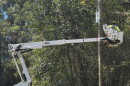 A Hawaiian Electric crew member works on a utility pole at Old Mamalahoa Highway in Honokaʻa, Hawaiʻi Island on Aug. 25, 2026.
