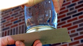 Upside-down mason jar with a piece of cardboard below it. 