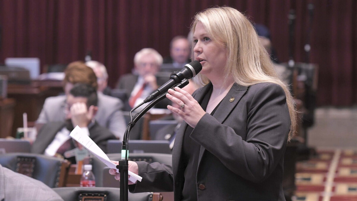 Mo. Rep. Melanie Stinnett on success as a freshman legislator - Vimarsana News