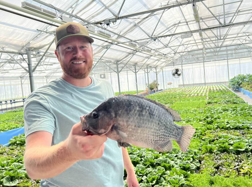 A man holds a fish up in front of rows and rows of leafy greens in a greenhouse.