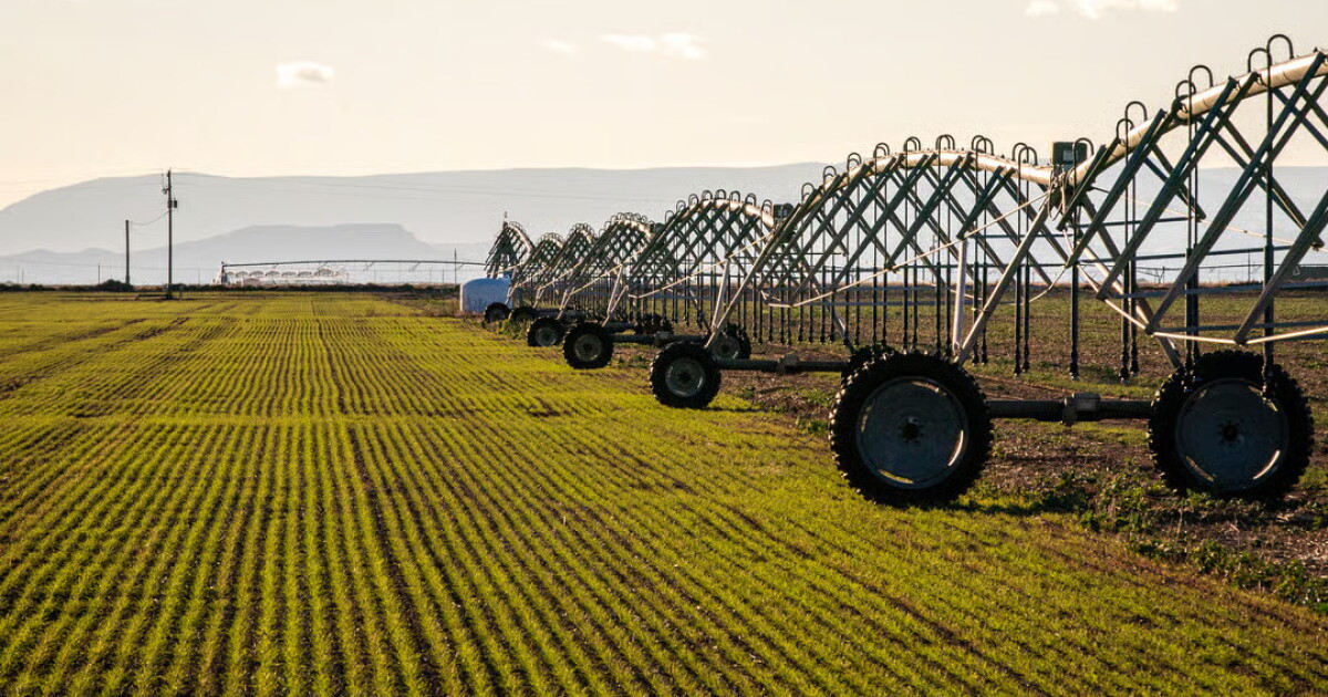 Colgate Rural Colorado’s rural-urban divide is shaping agricultural policy at the ...
