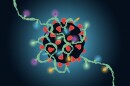 "If somebody is having symptoms, don't get together," said Dr. Steven Lawrence, an infectious disease physician at Barnes-Jewish Hospital who also works at Washington University. "Most of the transmission of COVID and other respiratory viruses occurs when people are symptomatic."