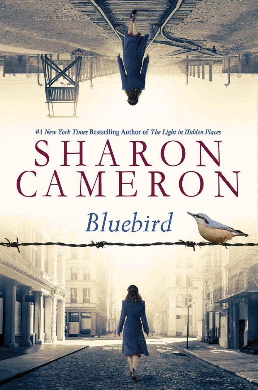 Bluebird Book Cover