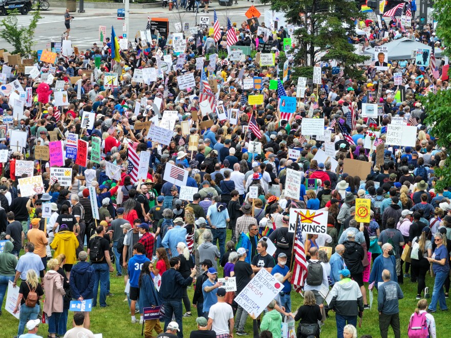 Birdeye view of protesters on a mall.