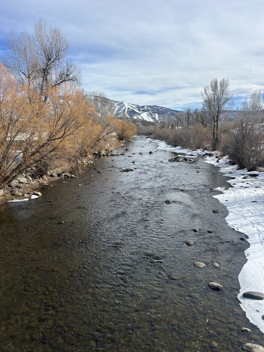 A River winds past cottonwood trees with a snowy mountain in the background. 