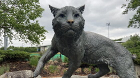 A statue of the UNH wildcat sits atop a rock. 