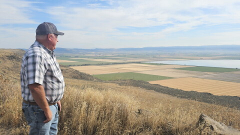 Scott Seus, president of the Klamath Water Users Association, looks over the Tule Lake National Wildlife Refuge from Sheepy Ridge on Aug. 20, 2026. Seus supports a proposal to circulate water through agricultural lands and refuge wetlands before returning it to the Klamath River.